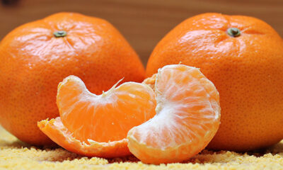 gdje kupiti neprskane mandarine?