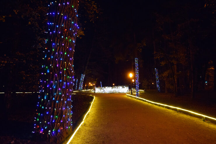 Advent u Maksimiru