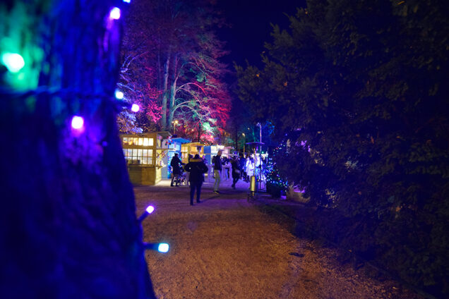 Advent u Maksimiru