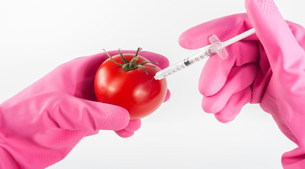 Je li GMO štetan?