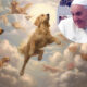 Papa Franjo o ljudima koji imaju pse