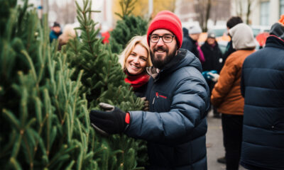 Otkrijte tajne svježih božićnih drvaca! Kupci biraju "silber" drvo s pažnjom. Savjeti uzgajivača otkrivaju kako održati svježinu i izbjeći isušivanje. Pročitajte prije kupovine!