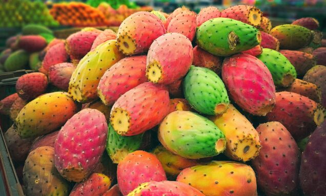 Zreli plodovi indijske smokve (Opuntia ficus-indica) u živopisnim nijansama zelene, žute, narančaste i crvene, složeni na tržnici ili u trgovini, spremni za konzumaciju.
