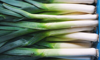 Svježi poriluk na stolu.