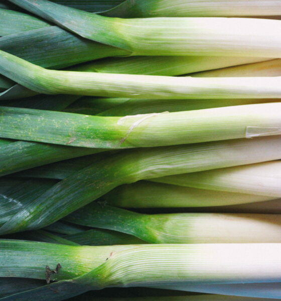 Svježi poriluk na stolu.