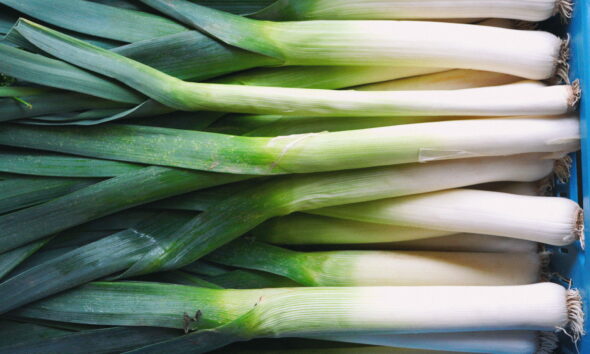 Svježi poriluk na stolu.