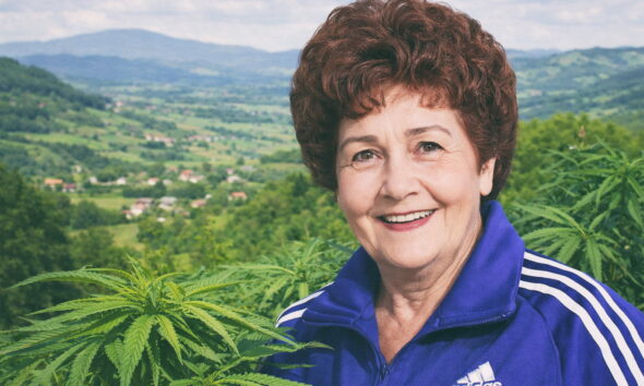 Zagorka Štefa na plantaži konoplje.