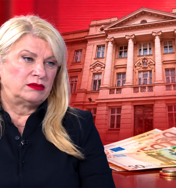 Vesna Škare Ožbolt uz ilustraciju Hrvatskog sabora, euronovčanica i rasta mirovina.