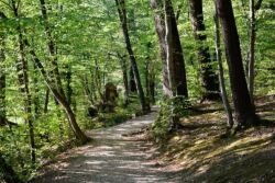 Maksimir (foto: Sandro Bura)