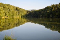 Maksimir (foto: Sandro Bura)