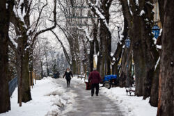 foto: Sandro Bura Zima u Zagrebu