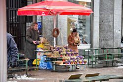foto: Sandro Bura Zima u Zagrebu