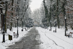 foto: Sandro Bura Zima u Zagrebu