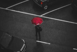 foto: Pexels