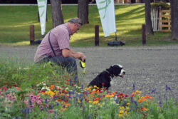 foto: Sandro Bura 53. Međunarodna vrtna izložba Floraart - Zagreb