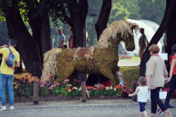 foto: Sandro Bura 53. Međunarodna vrtna izložba Floraart - Zagreb