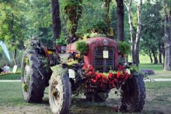 foto: Sandro Bura 53. Međunarodna vrtna izložba Floraart - Zagreb