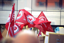 foto: Sandro Bura