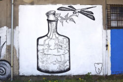 foto: Sandro Bura Murali u gradu Zagrebu