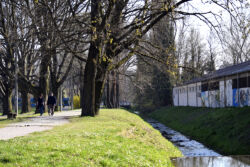 foto: Sandro Bura Murali u gradu Zagrebu