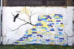 foto: Sandro Bura Murali u gradu Zagrebu