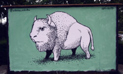 foto: Sandro Bura