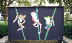 foto: Sandro Bura
