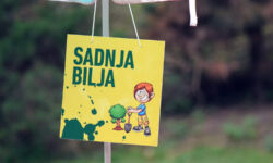 foto: Sandro Bura