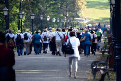 foto: Sandro Bura