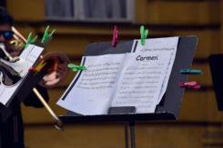 foto: Sandro Bura