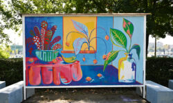 foto: Sandro Bura