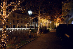 foto: Sandro Bura