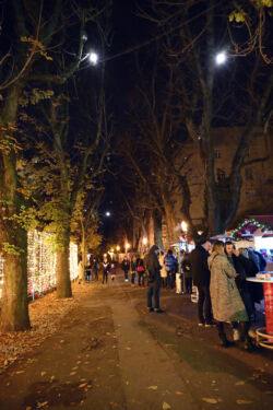 foto: Sandro Bura