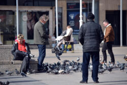 foto: Sandro Bura
