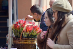 foto: Sandro Bura