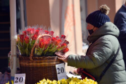 foto: Sandro Bura