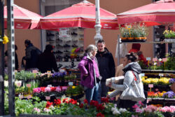 foto: Sandro Bura