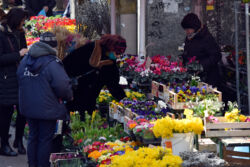 foto: Sandro Bura