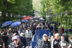 foto: Sandro Bura