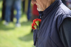 foto: Sandro Bura