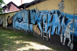 foto: Sandro Bura