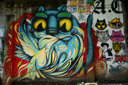 foto: Sandro Bura