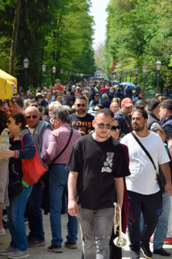 foto: Sandro Bura